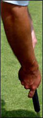 forearm2 Forearm2
